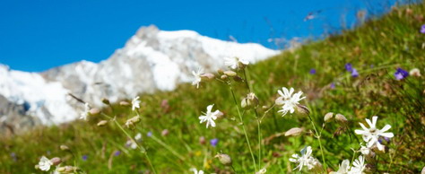 Kategoriebild Südtirol