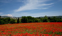 Descriptie in Piemonte Descriptie in Piemonte